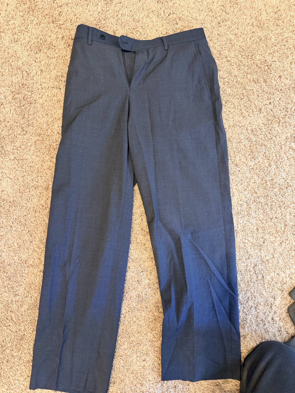 Daniel Cremieux Dark Navy Dress Pants